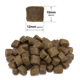 ARQUIVET FRESH Półwilgotna karma dla psa ryba oceaniczna 10 kg + DARMOWA WYSYŁKA!