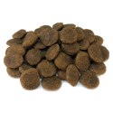 Arquivet GRAIN FREE Indyk z warzywami 12 kg + DARMOWA WYSYŁKA!