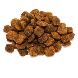 Arquivet Original wieprzowina iberyjska 12 kg + DARMOWA WYSYŁKA!