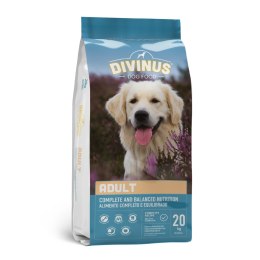 Divinus Adult dla psów dorosłych 20kg + DARMOWA WYSYŁKA!