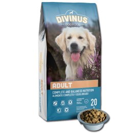 Divinus Adult dla psów dorosłych 20kg + DARMOWA WYSYŁKA!