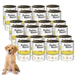 Dolina Noteci Junior bogata w żołądki z kurczaka 24 x 400 g + DARMOWA WYSYŁKA!