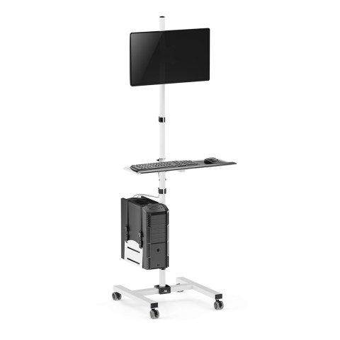 MACLEAN WÓZEK STAND PROFESJONALNY, MOBILNE STANOWISKO KOMPUTEROWE NA KÓŁKACH, MAX 17"-32", MAX 20KG MC-793 W