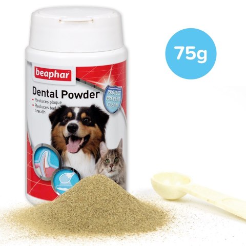 BEAPHAR Dental Proszek z brunatnic do jamy ustnej - 75 g