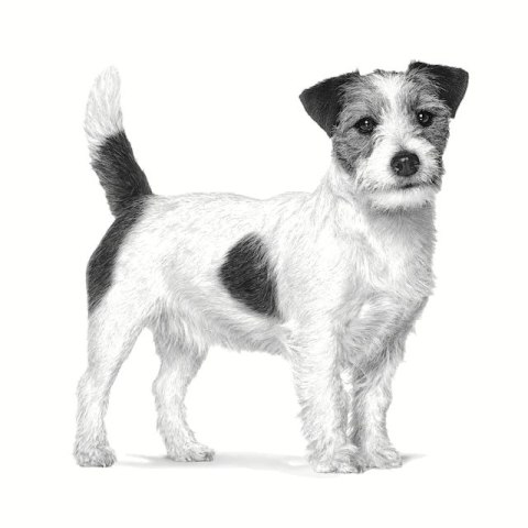 ROYAL CANIN VHN Dog Anallergenic Small 1,5kg ROYAL CANIN VHN Dog Anallergenic Small 1,5kg
