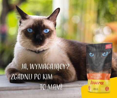 JOSERA Filet kurczak - mokra karma dla kota - 70 g JOSERA Filet kurczak - mokra karma dla kota - 70 g