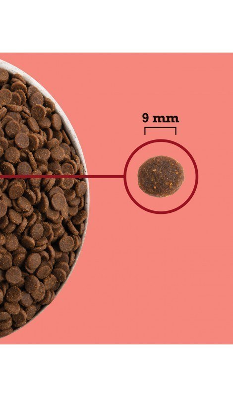ACANA Highest Protein Indoor Cat 4,5kg ACANA Highest Protein Indoor Cat 4,5kg