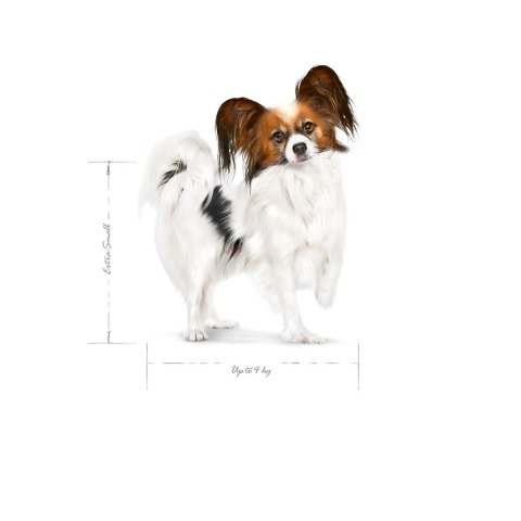 Royal Canin SHN Xsmall Adult 1.5kg Royal Canin SHN Xsmall Adult 1.5kg