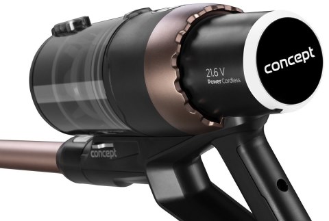 Pionowy odkurzaacz ICONIC SMART VP6025 CONCEPT