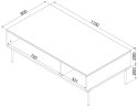 Stolik/ława PALAZZO BIS 110x60x40 biały mat