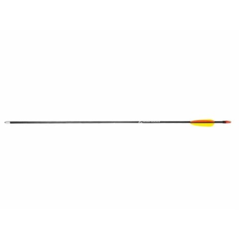 Strzały z włókna szklanego 28" Poe Lang - zestaw 5 sztuk (D-055-B3) Strzały z włókna szklanego 28" Poe Lang - zestaw 5 sztuk (D-055-B3)