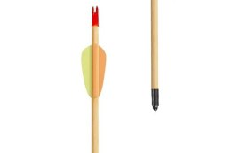 Strzały drewniane Target Wooden 30