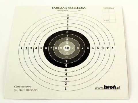 Tarcze papierowe 17x17 cm 100 szt. Tarcze papierowe 17x17 cm 100 szt.