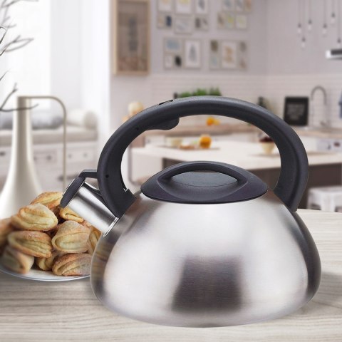 Czajnik nieelektryczny MAESTRO MR-1306