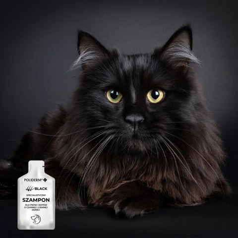 JM SANTE POLIDERM SZAMPON BLACK SASZETKI 15ml JM SANTE POLIDERM SZAMPON BLACK SASZETKI 15ml