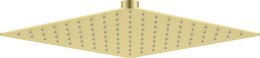 Głowica prysznicowa stalowa - 250x250 mm