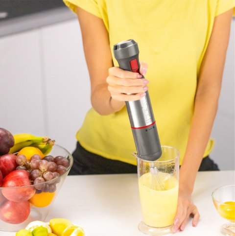 Zelmer ZHB4650 VARIO 0,7 l Blender immersyjny 1400 W Metaliczny, Czerwony Zelmer ZHB4650 VARIO 0,7 l Blender immersyjny 1400 W Metaliczny, Czerwony