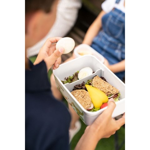 Plastikowy Lunch Box Dinox ZWILLING FRESH & SAVE 36814-502-0 1.6 L Plastikowy Lunch Box Dinox ZWILLING FRESH & SAVE 36814-502-0 1.6 L