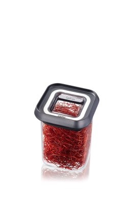 Pojemnik do przechowywania żywności 180 ml Gefu Pantry G-12808