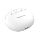 Blackview AirBuds 6 Zestaw słuchawkowy True Wireless Stereo (TWS) Douszny Połączenia/muzyka USB Type-C Bluetooth Biały