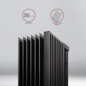 Axagon CLR-M2XL system chłodzenia komputerów M.2 NVMe SSD, Dysk SSD Radiator Czarny 1 szt.