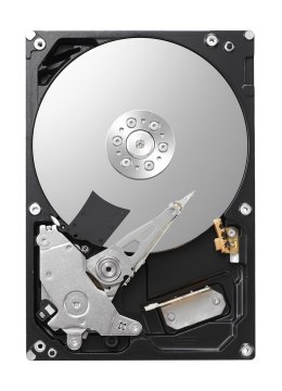 Dysk HDD Toshiba P300 3,5