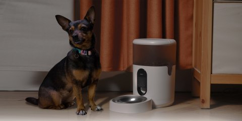 Aqara PETC1-M01 Smart Pet Feeder C1 - inteligentny podajnik karmy dla psa lub kota, automatyczne karmidło, białe Aqara PETC1-M01 Smart Pet Feeder C1 - inteligentny podajnik karmy dla psa lub kota, automatyczne karmidło, białe