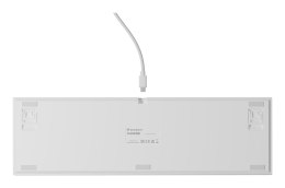 GENESIS THOR 404 klawiatura Uniwersalne USB QWERTY Angielski Biały