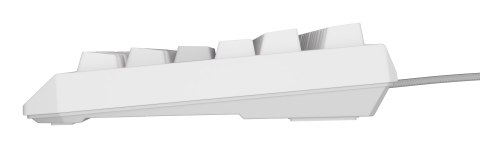 Klawiatura GENESIS Thor 230 TKL Gaming USB QWERTY US English Biały Klawiatura GENESIS Thor 230 TKL Gaming USB QWERTY US English Biały