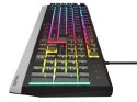 Klawiatura Gaming GENESIS RHOD 300 RGB Czarna USB