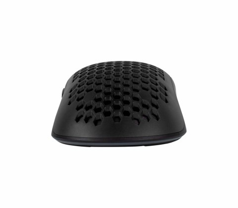 Arozzi Favo myszka Gaming Po prawej stronie USB Typu-A Optyczny 16000 DPI Arozzi Favo myszka Gaming Po prawej stronie USB Typu-A Optyczny 16000 DPI