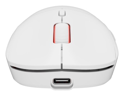GENESIS Zircon XIII myszka Gaming Oburęczny RF Wireless + USB Type-C Optyczny 26000 DPI GENESIS Zircon XIII myszka Gaming Oburęczny RF Wireless + USB Type-C Optyczny 26000 DPI