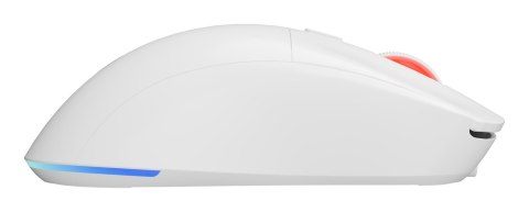 GENESIS Zircon XIII myszka Gaming Oburęczny RF Wireless + USB Type-C Optyczny 26000 DPI GENESIS Zircon XIII myszka Gaming Oburęczny RF Wireless + USB Type-C Optyczny 26000 DPI