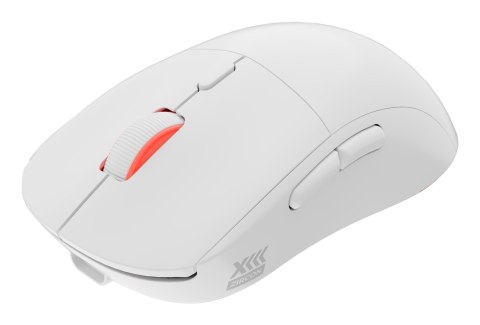 GENESIS Zircon XIII myszka Gaming Oburęczny RF Wireless + USB Type-C Optyczny 26000 DPI GENESIS Zircon XIII myszka Gaming Oburęczny RF Wireless + USB Type-C Optyczny 26000 DPI