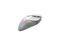 Glorious Gaming Glorious Model D 2 Wireless Gaming-Maus - weiß
