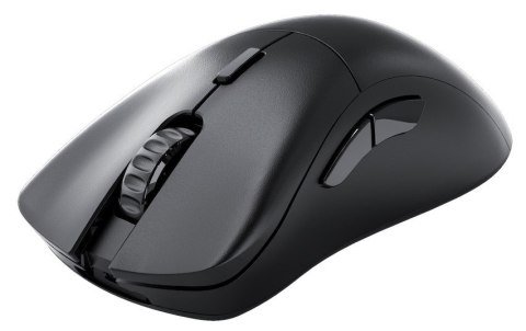 Glorious PC Gaming Race D 2 PRO myszka Po prawej stronie RF Wireless Optyczny 26000 DPI Glorious PC Gaming Race D 2 PRO myszka Po prawej stronie RF Wireless Optyczny 26000 DPI