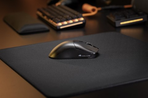 Glorious PC Gaming Race O 2 PRO myszka Po prawej stronie USB Typu-A Optyczny 26000 DPI Glorious PC Gaming Race O 2 PRO myszka Po prawej stronie USB Typu-A Optyczny 26000 DPI