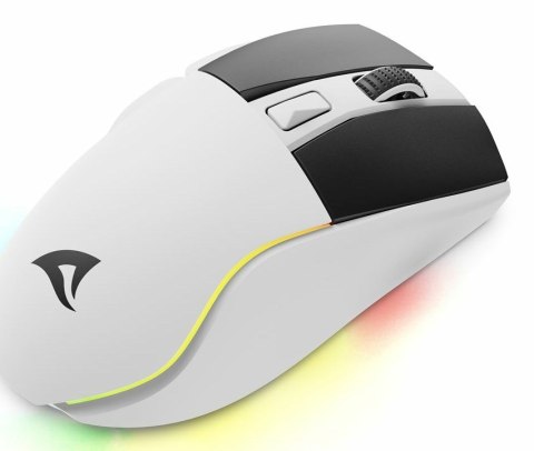 Sharkoon SGM50W myszka Gaming Po prawej stronie RF Wireless + USB Type-A Optyczny 6400 DPI Sharkoon SGM50W myszka Gaming Po prawej stronie RF Wireless + USB Type-A Optyczny 6400 DPI