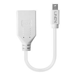 Lindy 41021 kabel DisplayPort 0,15 m Mini DisplayPort Biały
