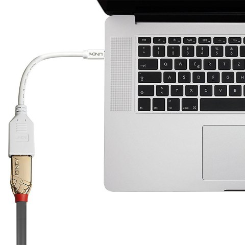 Lindy 41021 kabel DisplayPort 0,15 m Mini DisplayPort Biały Lindy 41021 kabel DisplayPort 0,15 m Mini DisplayPort Biały