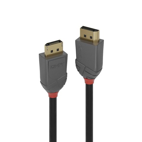 Lindy 36481 kabel DisplayPort 1 m Czarny, Szary Lindy 36481 kabel DisplayPort 1 m Czarny, Szary