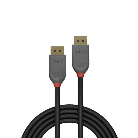 Lindy 36481 kabel DisplayPort 1 m Czarny, Szary Lindy 36481 kabel DisplayPort 1 m Czarny, Szary