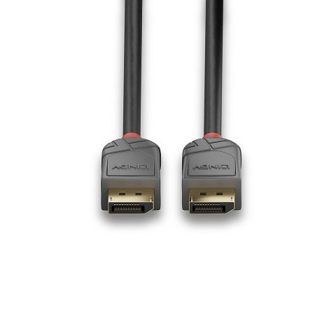 Lindy 36481 kabel DisplayPort 1 m Czarny, Szary Lindy 36481 kabel DisplayPort 1 m Czarny, Szary