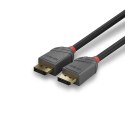 Lindy 36481 kabel DisplayPort 1 m Czarny, Szary