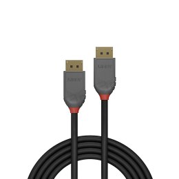 Lindy 36482 kabel DisplayPort 2 m Czarny