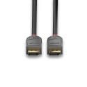 Lindy 36482 kabel DisplayPort 2 m Czarny