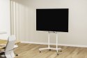 Neomounts by Newstar NM-M1250 177,8 cm (70") Biały