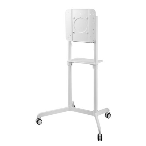 Neomounts by Newstar NM-M1250 177,8 cm (70") Biały Neomounts by Newstar NM-M1250 177,8 cm (70") Biały
