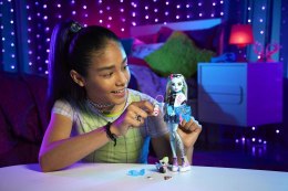 Monster High Lalka Frankie Stein HHK53