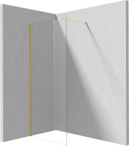 Ścianka prysznicowa walk-in 120 cm